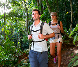 Tourists walking through the Peruvian jungle